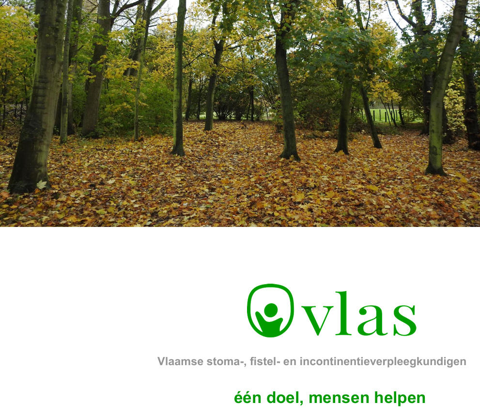 Tijdschrift VLAS jaargang 27 nummer 2 2021